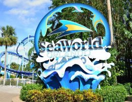 Land Tours Mỹ, Land tours Canada cho các công ty Du Lịch, Du Lịch Mỹ, Du Lịch Canada, Tours Du Lịch Bờ Đông, Bờ Tây Mỹ và Canada