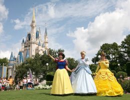 Land Tours Mỹ, Land tours Canada cho các công ty Du Lịch, Du Lịch Mỹ, Du Lịch Canada, Tours Du Lịch Bờ Đông, Bờ Tây Mỹ và Canada