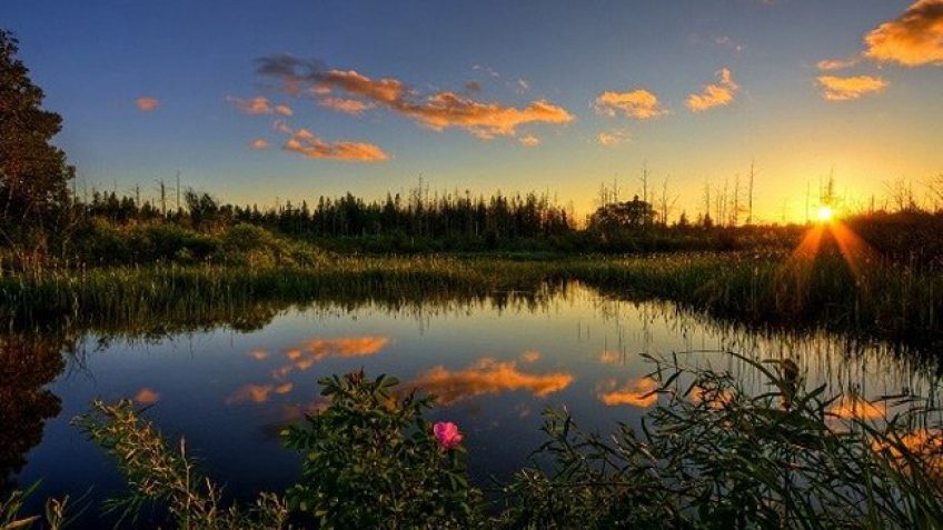 Land Tours Mỹ, Land tours Canada cho các công ty Du Lịch, Du Lịch Mỹ, Du Lịch Canada, Tours Du Lịch Bờ Đông, Bờ Tây Mỹ và Canada