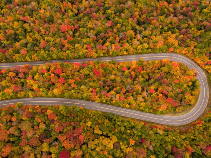 Land Tours Mỹ, Land tours Canada cho các công ty Du Lịch, Du Lịch Mỹ, Du Lịch Canada, Tours Du Lịch Bờ Đông, Bờ Tây Mỹ và Canada