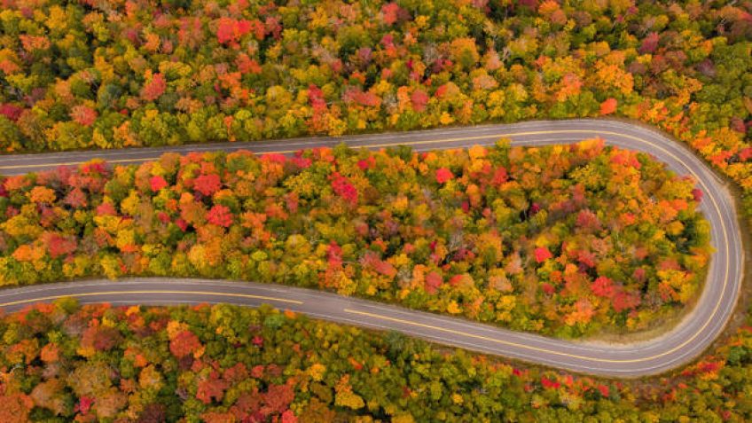 Land Tours Mỹ, Land tours Canada cho các công ty Du Lịch, Du Lịch Mỹ, Du Lịch Canada, Tours Du Lịch Bờ Đông, Bờ Tây Mỹ và Canada